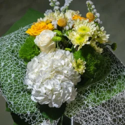 Buchet Refresh
